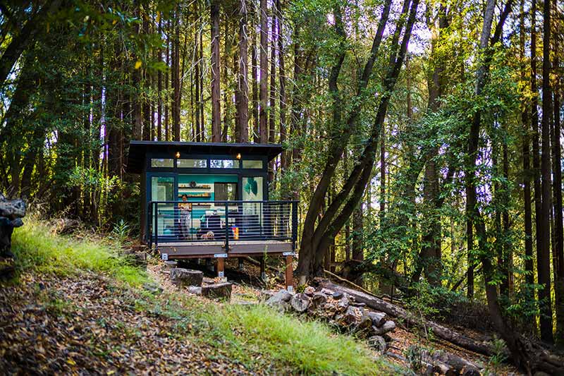 A Studio Shed accessory dwelling unit surrounded by trees.