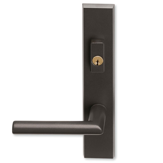 Keyed Exterior Contemporary Swinging Handle