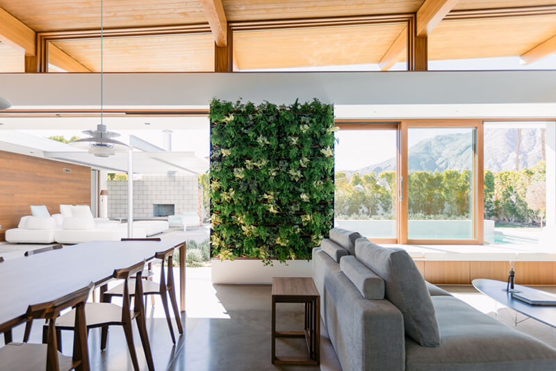 Mid Century home with modern live wall and large Marvin Windows