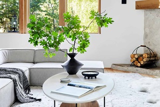 A plant in Emily Henderson’s Mountain House Living Room, which features an A-frame wall of Marvin windows.